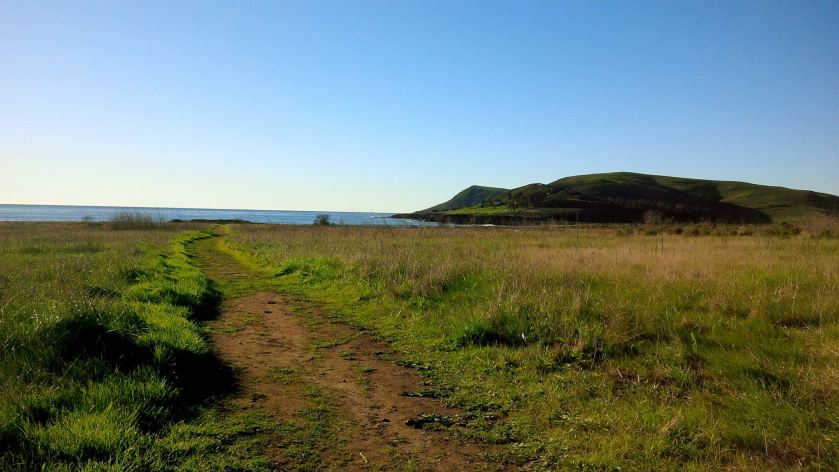 10865778_10152483358020887_5890524430127167254_o