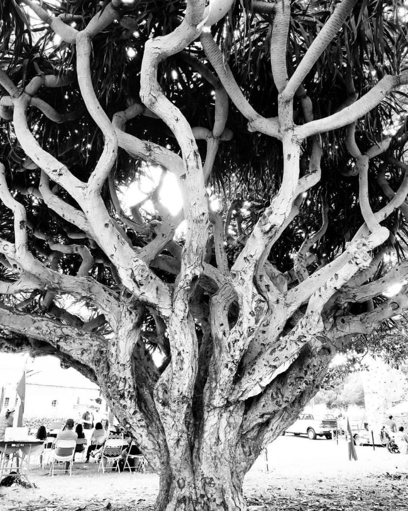 21272935_10154808333025887_5622857623195374510_o